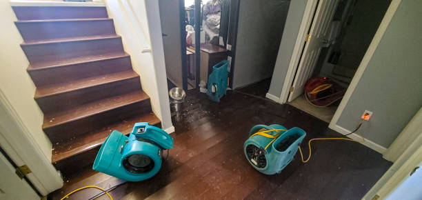 Water damage restoration mold remediation in Sherwood Manor, CT