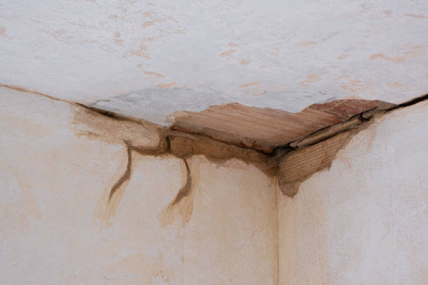 Best Local water damage restoration  in Sherwood Manor, CT