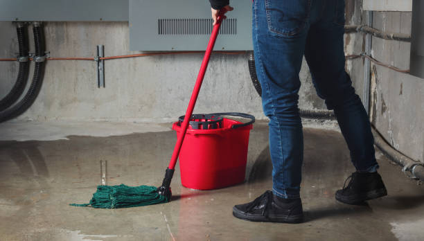 Best Flood restoration services  in Sherwood Manor, CT