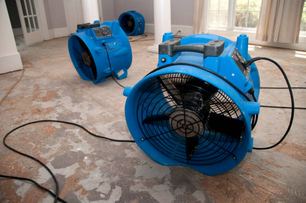 Reliable Sherwood Manor, CT Water damage restoration Solutions