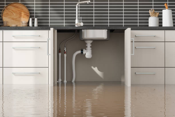 Best Water damage restoration services  in Sherwood Manor, CT
