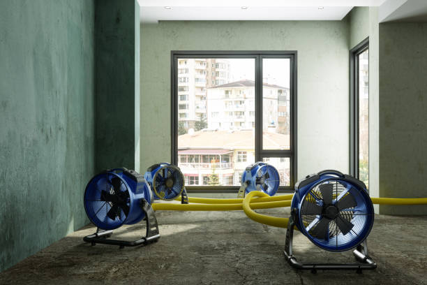 Best Basement water damage restoration  in Sherwood Manor, CT