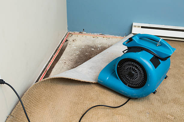 Best Local water damage restoration  in Sherwood Manor, CT